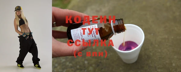 амф Пестово