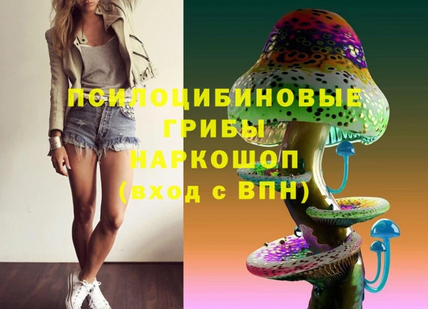 амф Переславль-Залесский
